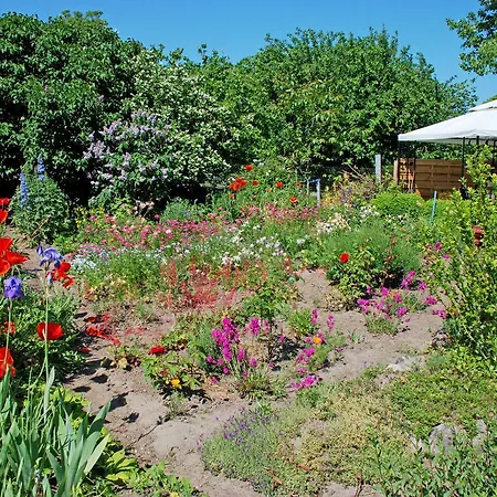 Фермерский дом Ferienbungalow Saathoff